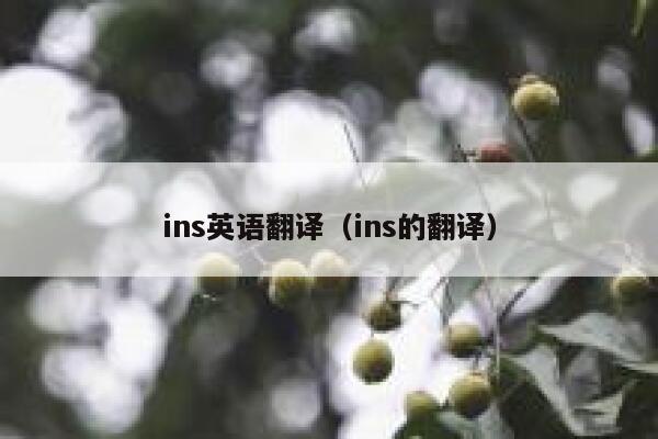 ins英语翻译（ins的翻译） 第1张