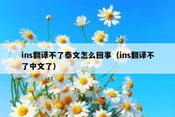 ins翻译不了泰文怎么回事（ins翻译不了中文了） 第1张