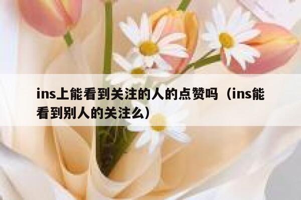ins上能看到关注的人的点赞吗（ins能看到别人的关注么） 第1张