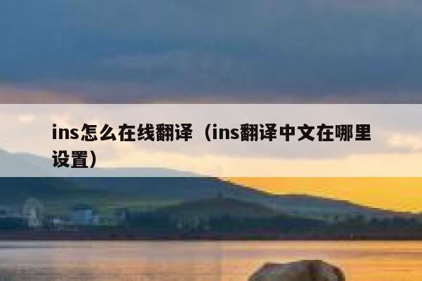 ins怎么在线翻译（ins翻译中文在哪里设置） 第1张