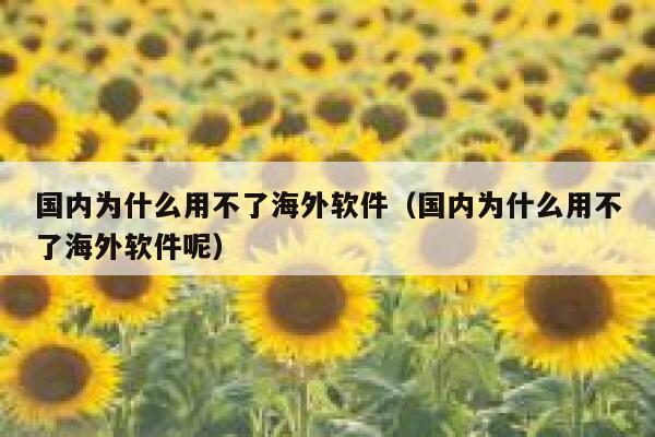 国内为什么用不了海外软件（国内为什么用不了海外软件呢） 第1张