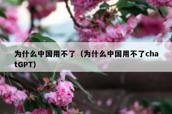为什么中国用不了（为什么中国用不了chatGPT） 第1张