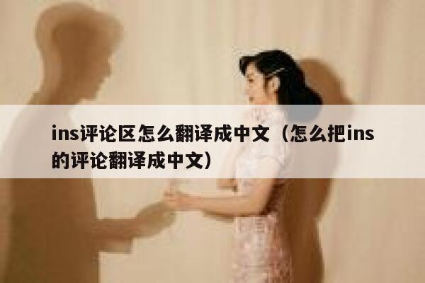 ins评论区怎么翻译成中文（怎么把ins的评论翻译成中文） 第1张