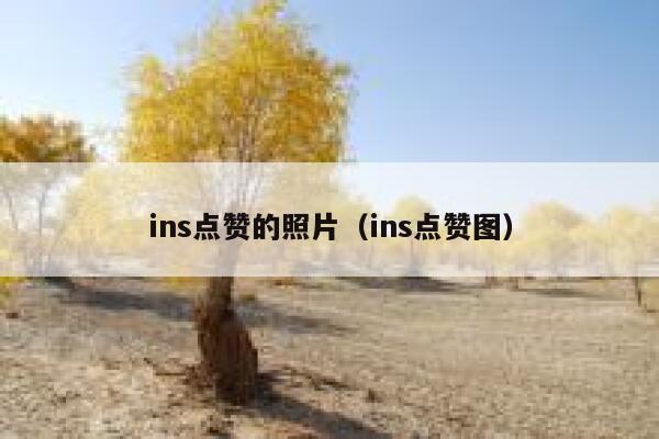 ins点赞的照片（ins点赞图） 第1张