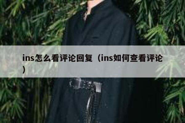 ins怎么看评论回复（ins如何查看评论） 第1张
