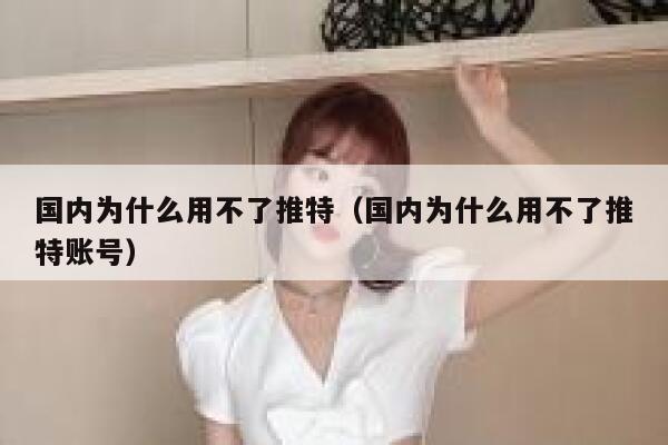 国内为什么用不了推特（国内为什么用不了推特账号） 第1张