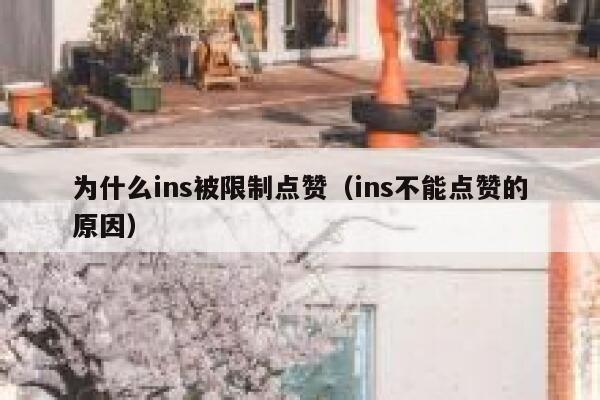 为什么ins被限制点赞（ins不能点赞的原因） 第1张