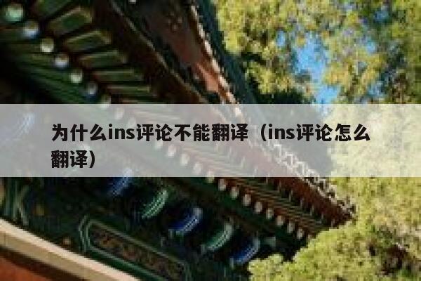 为什么ins评论不能翻译（ins评论怎么翻译） 第1张