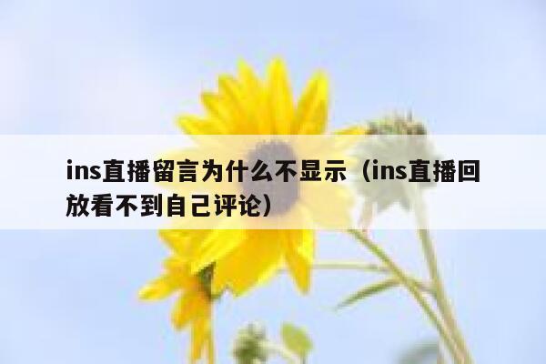 ins直播留言为什么不显示（ins直播回放看不到自己评论） 第1张