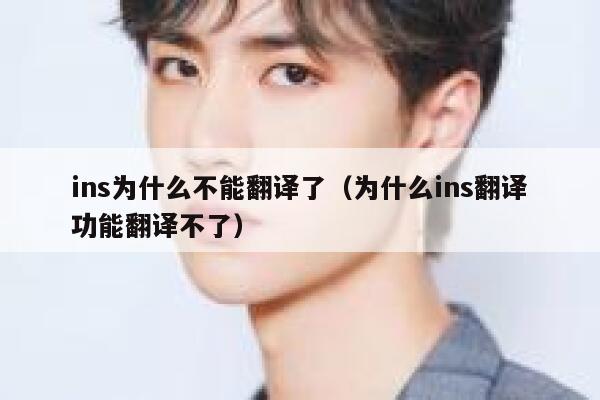 ins为什么不能翻译了（为什么ins翻译功能翻译不了） 第1张