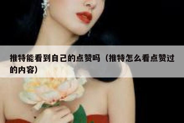 推特能看到自己的点赞吗（推特怎么看点赞过的内容） 第1张