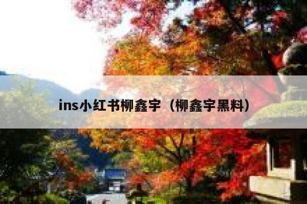 ins小红书柳鑫宇（柳鑫宇黑料） 第1张