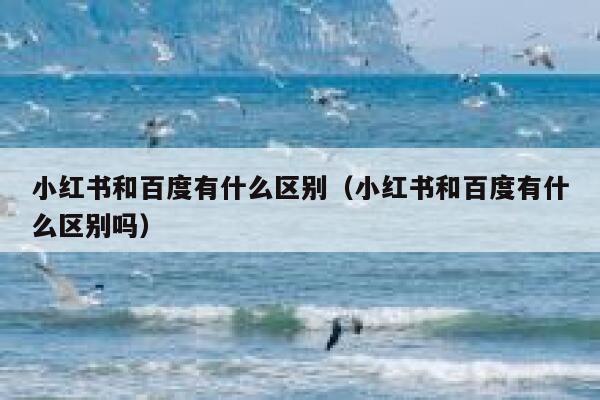 小红书和百度有什么区别（小红书和百度有什么区别吗） 第1张