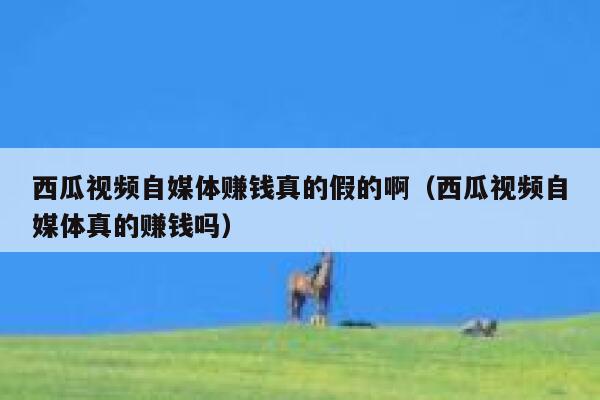 西瓜视频自媒体赚钱真的假的啊（西瓜视频自媒体真的赚钱吗） 第1张