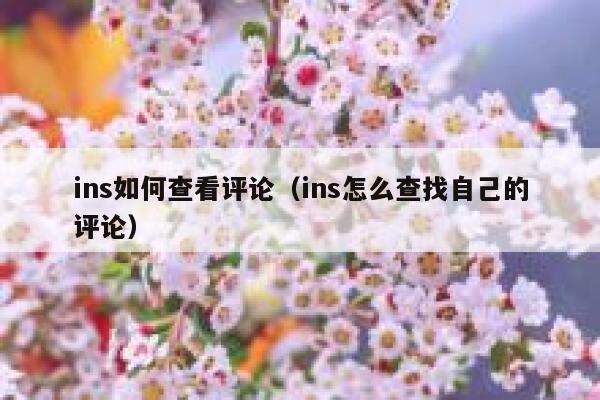 ins如何查看评论（ins怎么查找自己的评论） 第1张