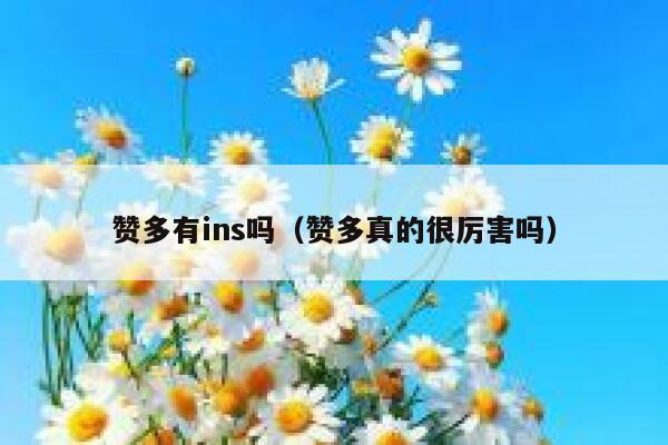 赞多有ins吗（赞多真的很厉害吗） 第1张