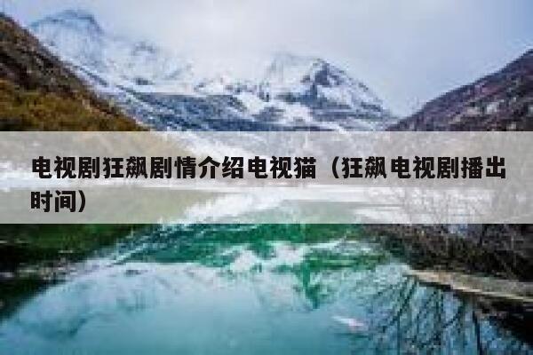 电视剧狂飙剧情介绍电视猫（狂飙电视剧播出时间） 第1张