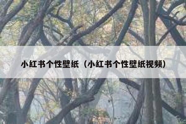 小红书个性壁纸（小红书个性壁纸视频） 第1张