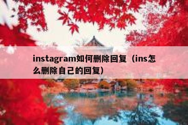 instagram如何删除回复（ins怎么删除自己的回复） 第1张