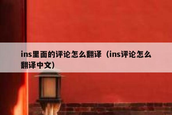 ins里面的评论怎么翻译（ins评论怎么翻译中文） 第1张