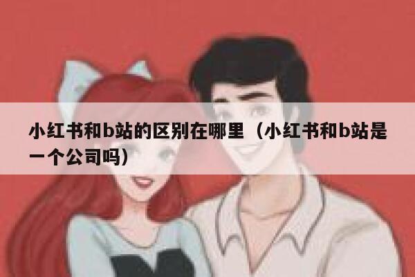 小红书和b站的区别在哪里（小红书和b站是一个公司吗） 第1张