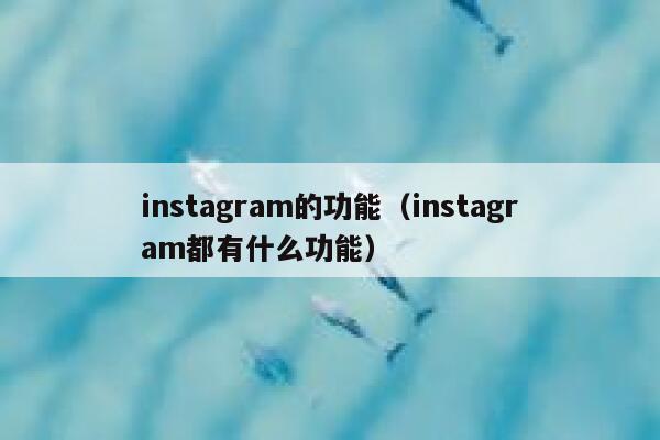 instagram的功能（instagram都有什么功能） 第1张