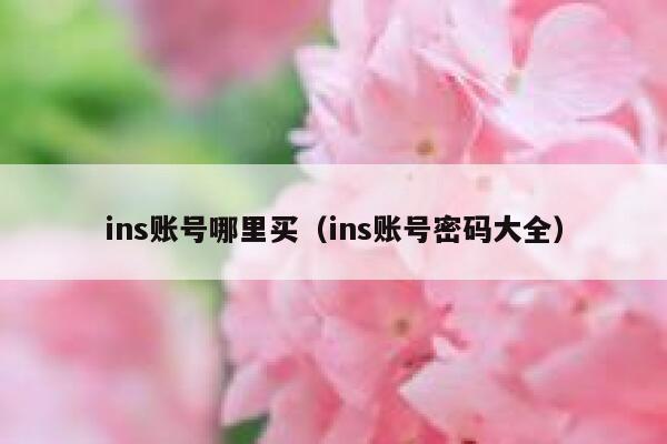 ins账号哪里买（ins账号密码大全） 第1张