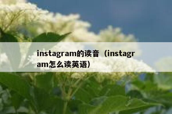instagram的读音（instagram怎么读英语） 第1张