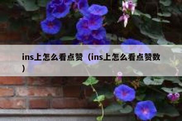 ins上怎么看点赞（ins上怎么看点赞数） 第1张