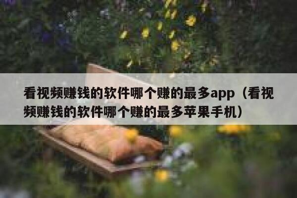 看视频赚钱的软件哪个赚的最多app（看视频赚钱的软件哪个赚的最多苹果手机） 第1张
