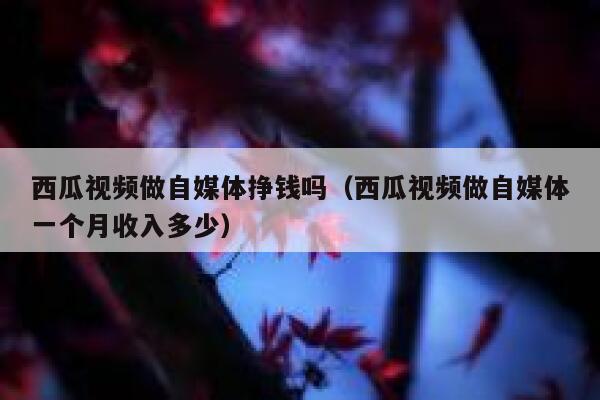 西瓜视频做自媒体挣钱吗（西瓜视频做自媒体一个月收入多少） 第1张