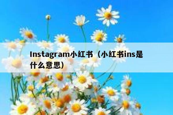 Instagram小红书(小红书ins是什么意思) 第1张 Instagram小红书(小红书ins是什么意思) 第1张