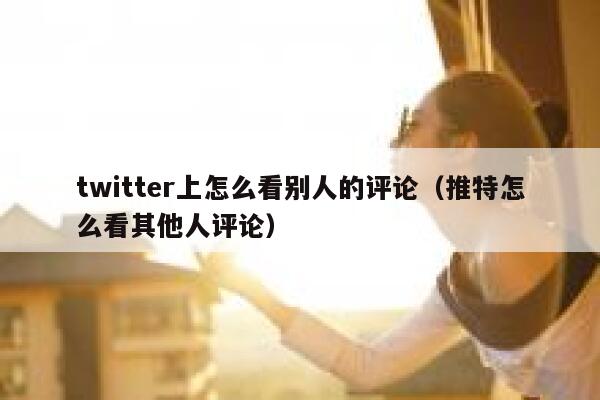 twitter上怎么看别人的评论（推特怎么看其他人评论） 第1张