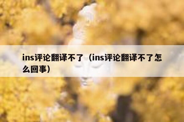 ins评论翻译不了（ins评论翻译不了怎么回事） 第1张