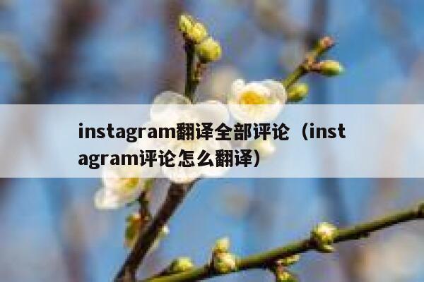 instagram翻译全部评论（instagram评论怎么翻译） 第1张