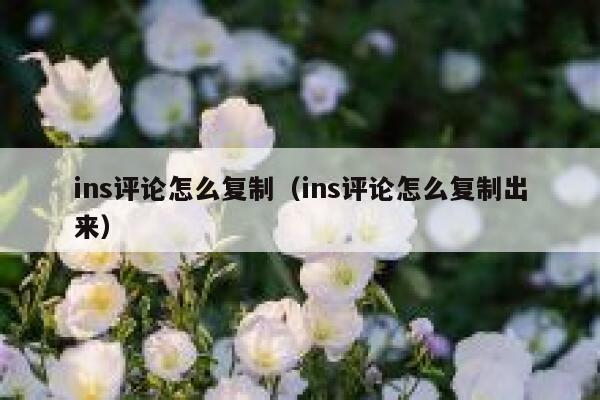 ins评论怎么复制（ins评论怎么复制出来） 第1张