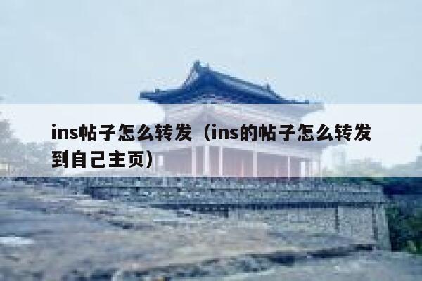 ins帖子怎么转发（ins的帖子怎么转发到自己主页） 第1张