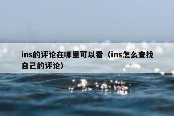 ins的评论在哪里可以看（ins怎么查找自己的评论） 第1张