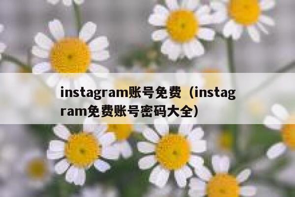 instagram账号免费（instagram免费账号密码大全） 第1张