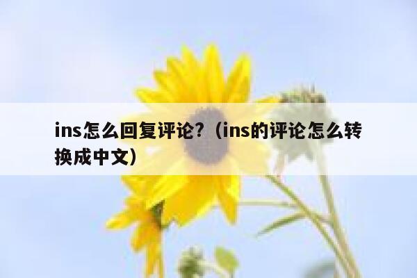 ins怎么回复评论?（ins的评论怎么转换成中文） 第1张