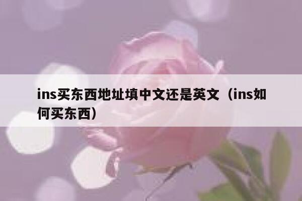 ins买东西地址填中文还是英文（ins如何买东西） 第1张