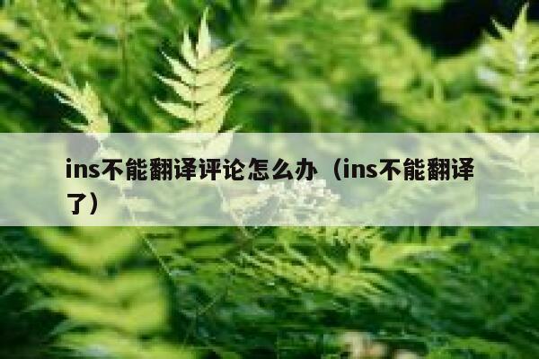 ins不能翻译评论怎么办（ins不能翻译了） 第1张