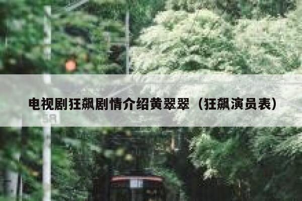 电视剧狂飙剧情介绍黄翠翠（狂飙演员表） 第1张