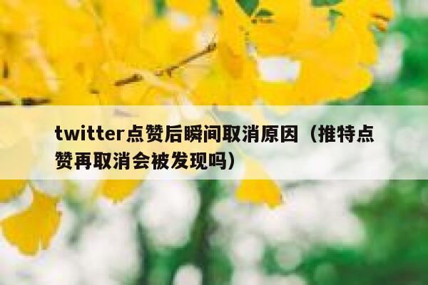 twitter点赞后瞬间取消原因（推特点赞再取消会被发现吗） 第1张