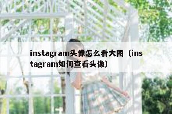 instagram头像怎么看大图（instagram如何查看头像） 第1张