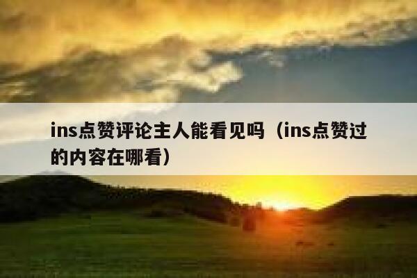 ins点赞评论主人能看见吗（ins点赞过的内容在哪看） 第1张