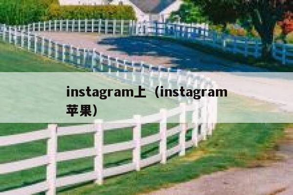instagram上（instagram苹果） 第1张