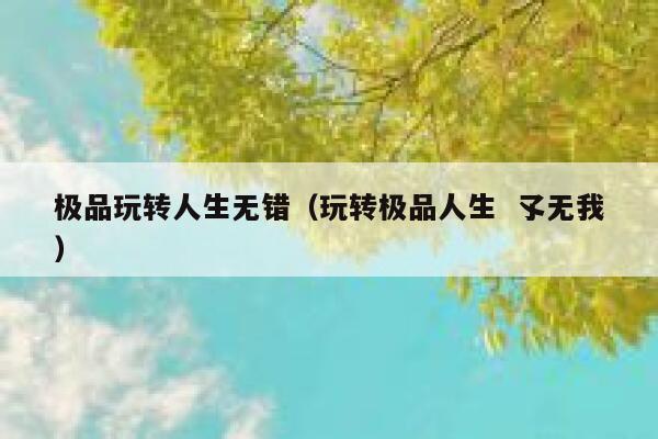 极品玩转人生无错(玩转极品人生 孓无我) 第1张 极品玩转人生无错(玩转极品人生 孓无我) 第1张