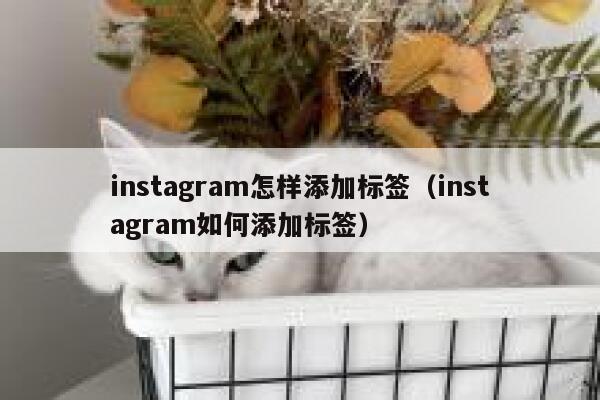 instagram怎样添加标签（instagram如何添加标签） 第1张