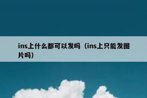 ins上什么都可以发吗（ins上只能发图片吗） 第1张